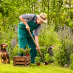 Mengatasi Stres dengan Hobi: Temukan Kesenangan di Setiap Aktivitas